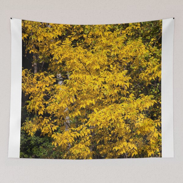 Item preview, Yellow Leaves designed and sold by Susie Kramer.