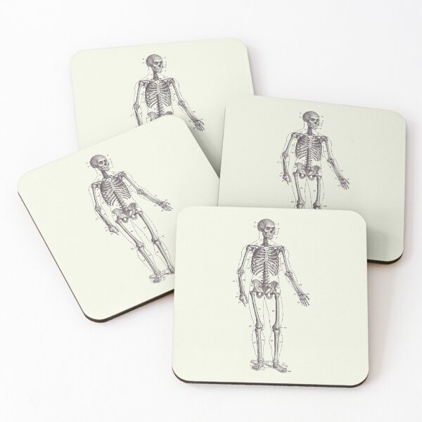 Item preview, Forward Facing Skeletal Diagram - Vintage Anatomy Poster 2 designed and sold by VAposters.