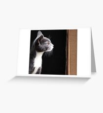 Miss M. Greeting Card