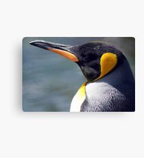 Emperor Penguin Canvas Print
