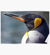 Emperor Penguin Poster