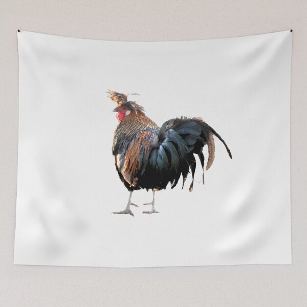 Item preview, funny chicken rooster, mohawk designed and sold by Stephanie  Skeem.