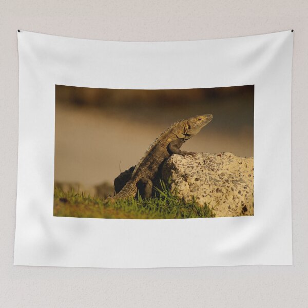 Item preview, ill iguana sitting up designed and sold by pcfyi.