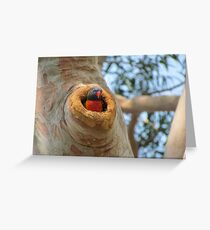 Shhhh... he's sleeping... Greeting Card