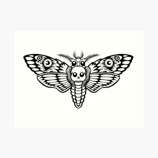 Skull Moth Flight Art Print