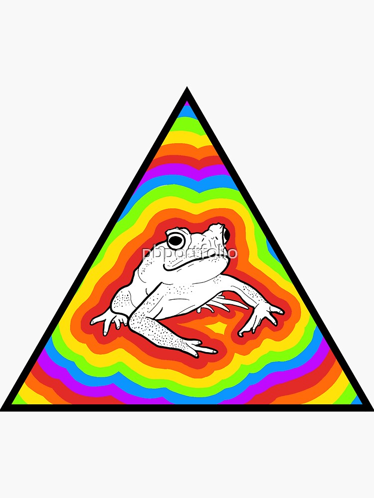 Rainbow Frog 2 by pbportfolio