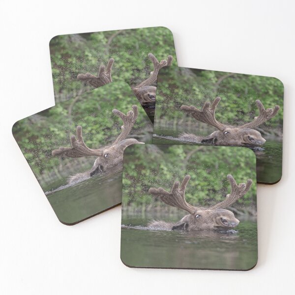 Item preview, Bull Moose and Black Flies designed and sold by Simpsonwildlife.