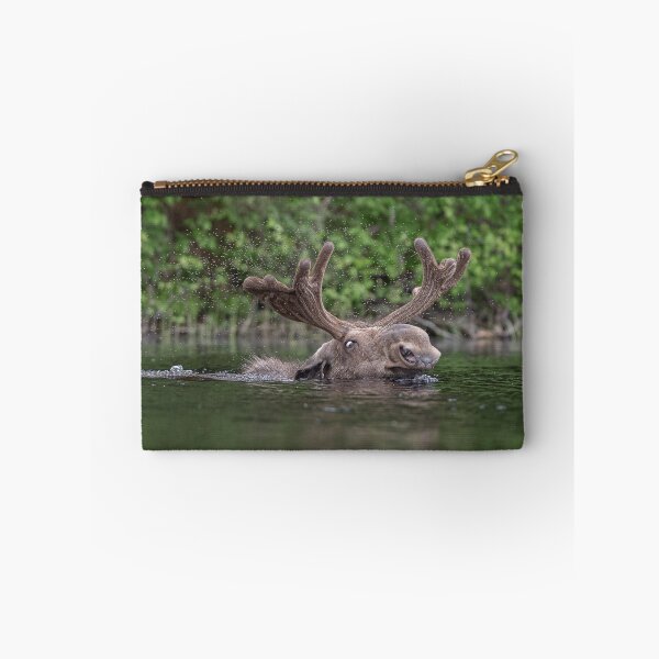 Item preview, Bull Moose and Black Flies designed and sold by Simpsonwildlife.
