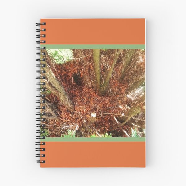 Item preview, Inside the Branches, Perspectiva Fotografía de la naturaleza por Courtney Hatcher designed and sold by cghatcherart.