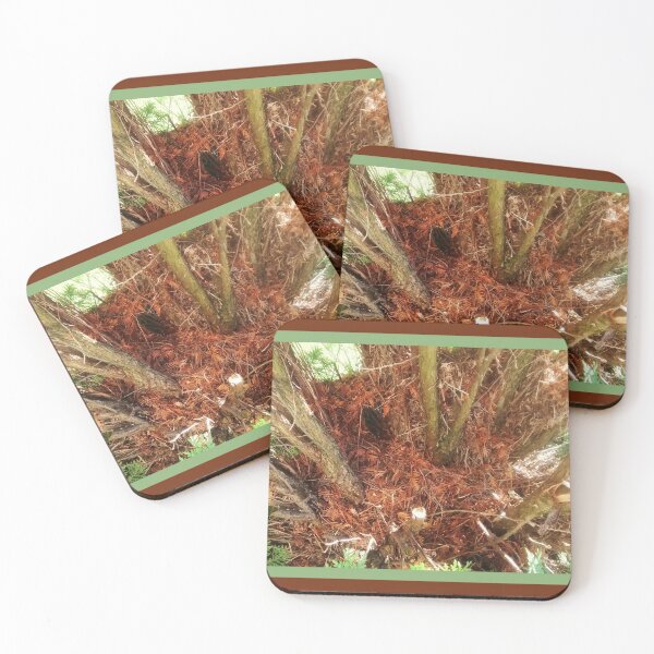 Item preview, Inside the Branches, Perspectiva Fotografía de la naturaleza por Courtney Hatcher designed and sold by cghatcherart.