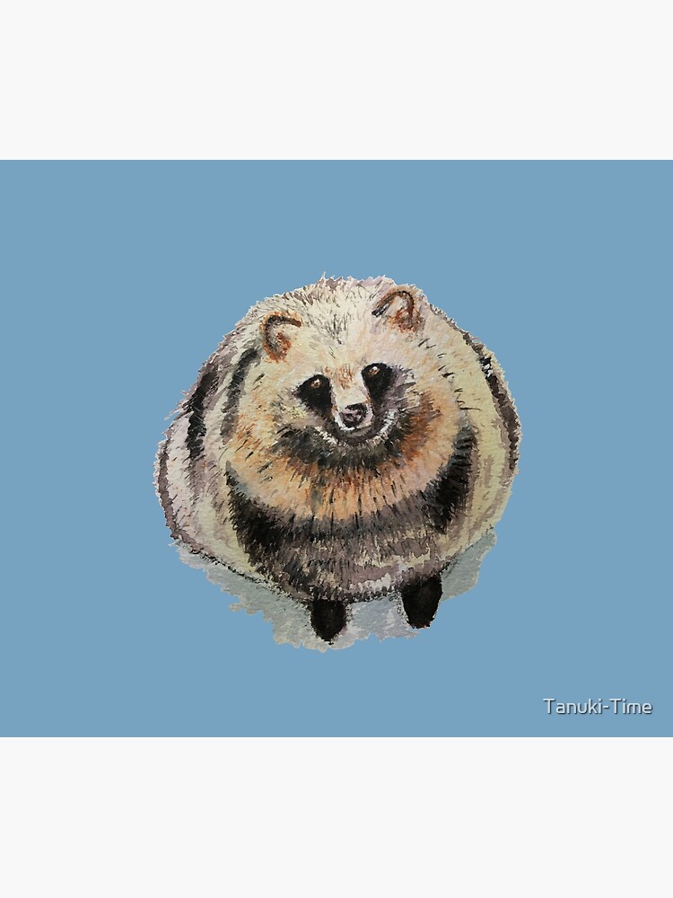 Chubby and fluffy tanuki (raccoon dog)