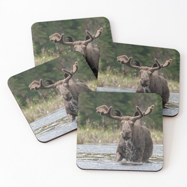 Item preview, Bull Moose designed and sold by Simpsonwildlife.