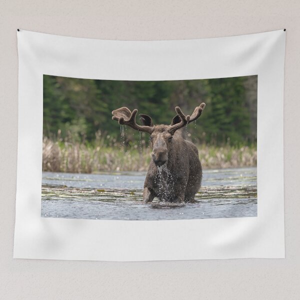 Item preview, Bull Moose designed and sold by Simpsonwildlife.