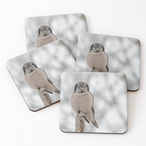Item preview, Northern Hawk Owl designed and sold by Simpsonwildlife.
