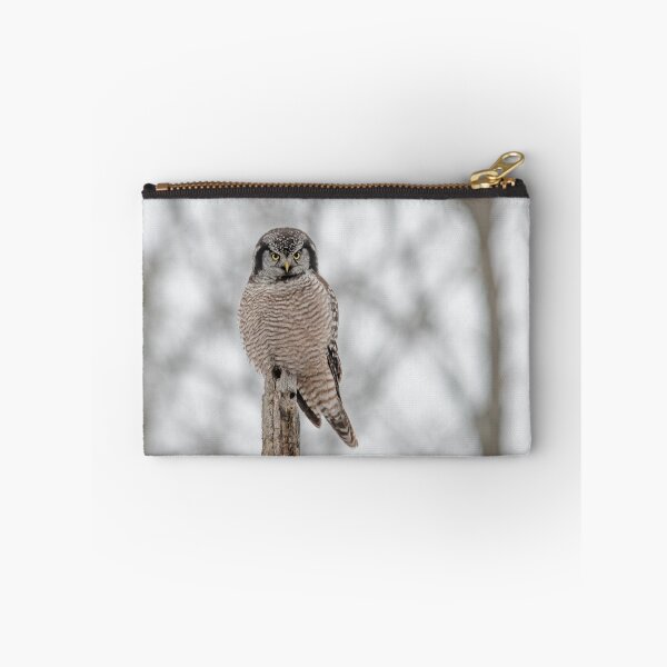 Item preview, Northern Hawk Owl designed and sold by Simpsonwildlife.