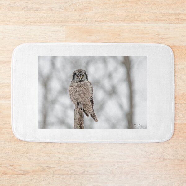 Item preview, Northern Hawk Owl designed and sold by Simpsonwildlife.