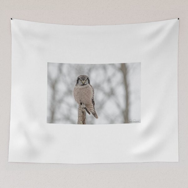 Item preview, Northern Hawk Owl designed and sold by Simpsonwildlife.