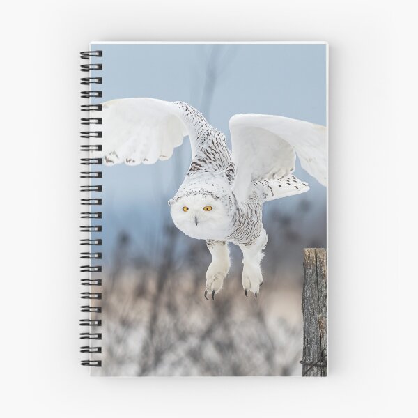 Item preview, Snowy Owl designed and sold by Simpsonwildlife.