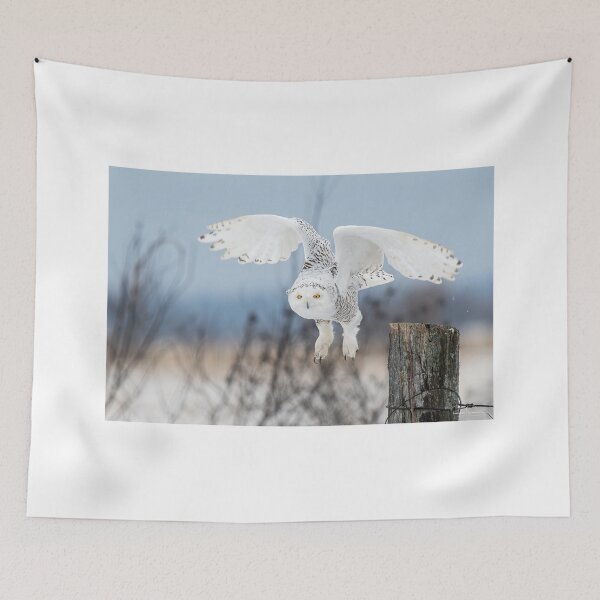 Item preview, Snowy Owl designed and sold by Simpsonwildlife.