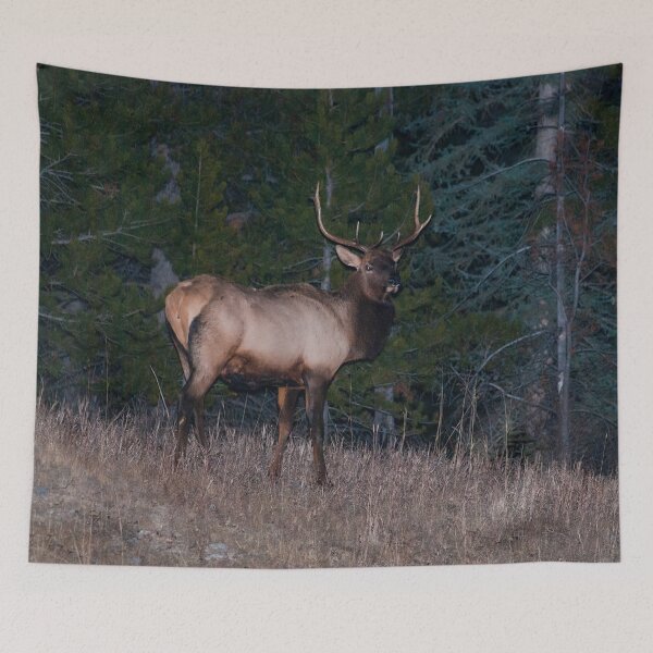 Item preview, Canadian Elk designed and sold by StevenElliot.