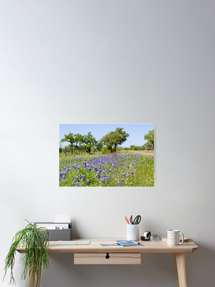 Thumbnail 2 of 3, Poster, Springtime on a Country Road designed and sold by elisewied.