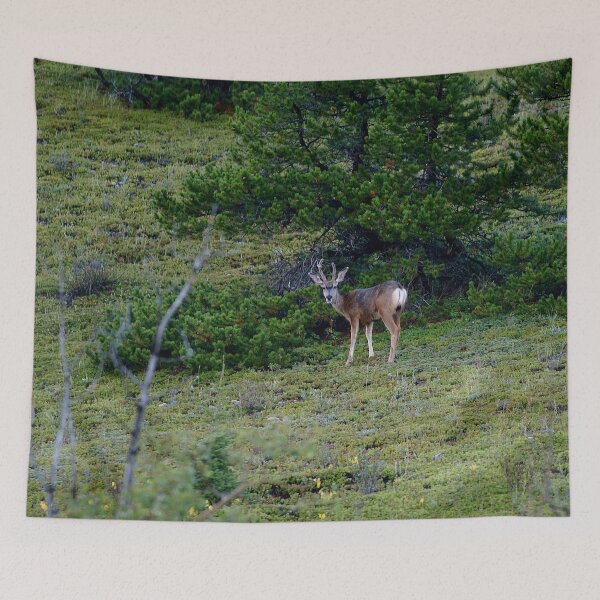 Item preview, Canadian Buck designed and sold by StevenElliot.
