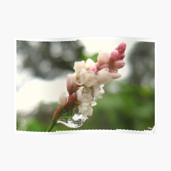 Lupine flower tiling poster Poster