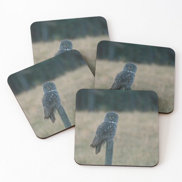 Item preview, Great Grey Owl on a Post designed and sold by StevenElliot.