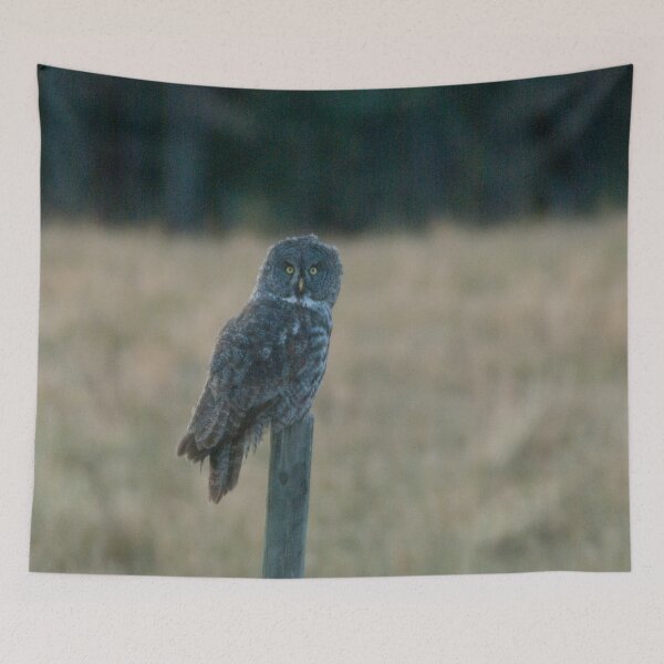 Item preview, Great Grey Owl on a Post designed and sold by StevenElliot.