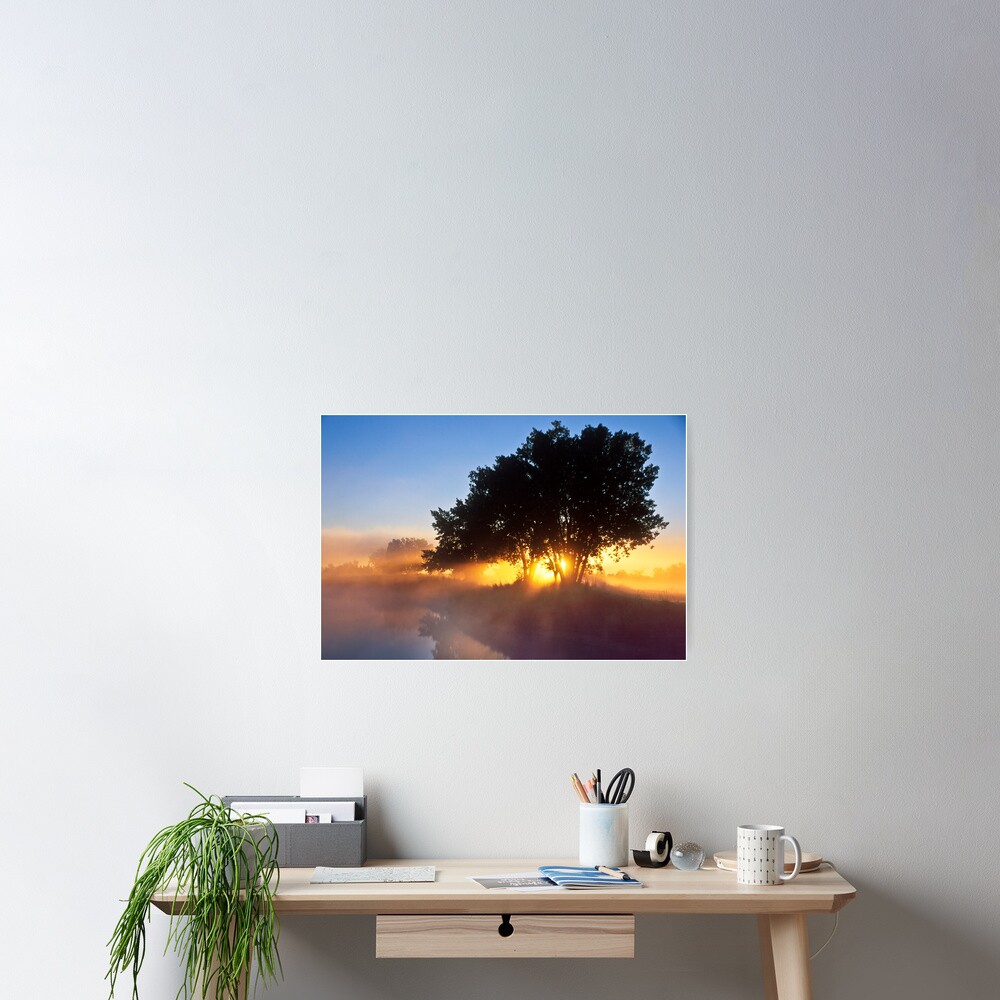 Buttercup Sunrise Poster