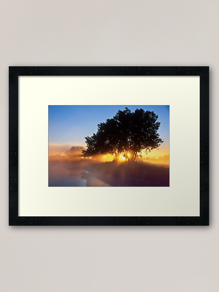 Alternate view of Buttercup Sunrise Framed Art Print