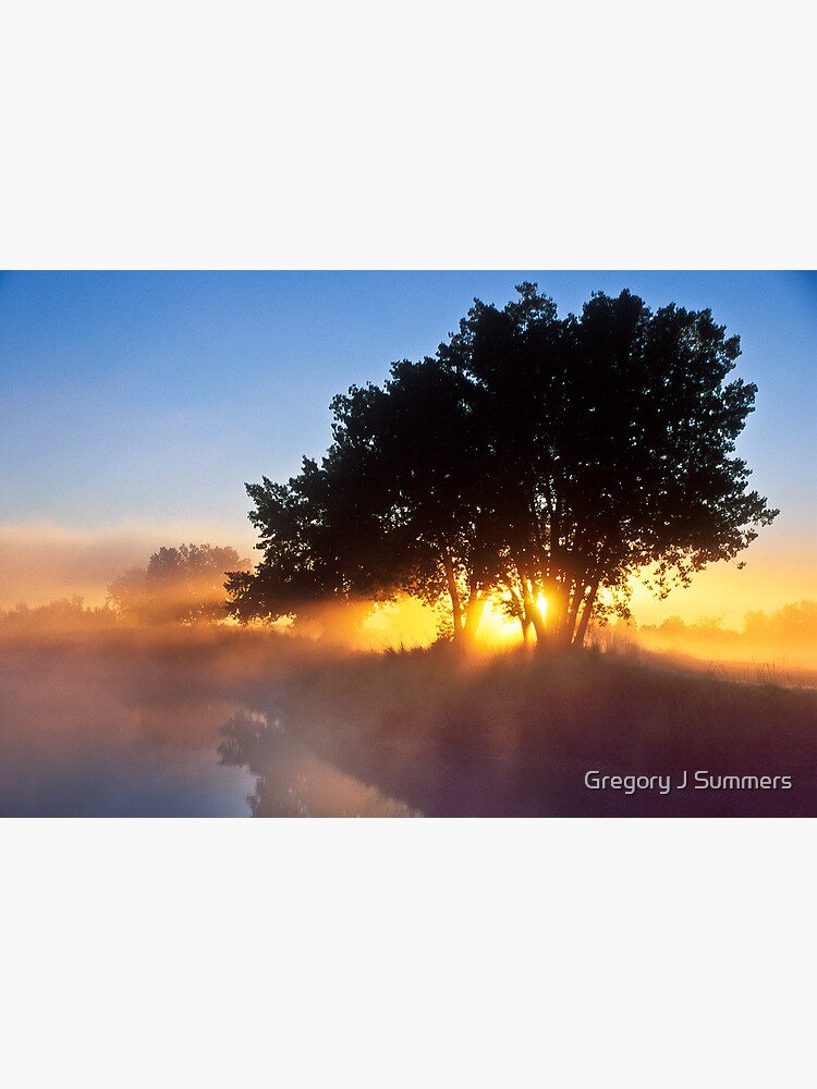 Buttercup Sunrise by nikongreg