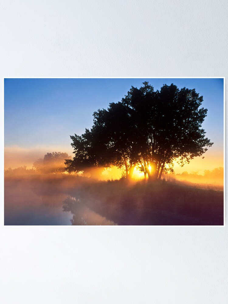 Alternate view of Buttercup Sunrise Poster