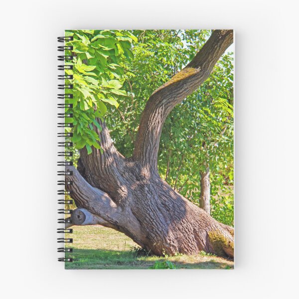 Item preview, The Climbing Tree designed and sold by Lesliebc.