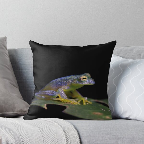 Item preview, Rainforest Rana designed and sold by mlorenz.