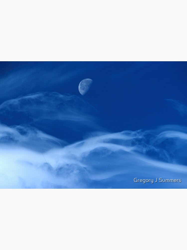Moonship Flies by nikongreg