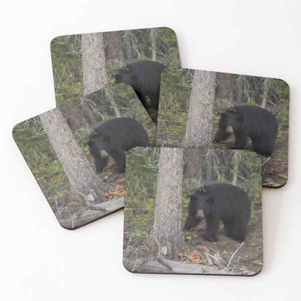 Item preview, Black Bear in British Columbia designed and sold by StevenElliot.