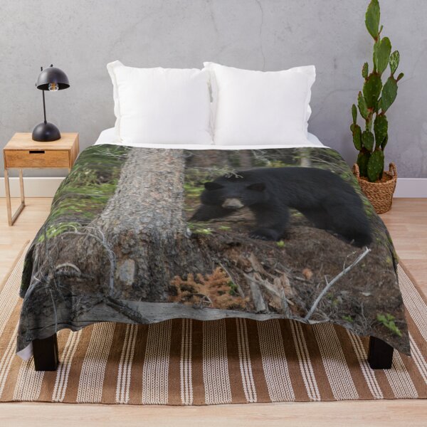 Item preview, Black Bear in British Columbia designed and sold by StevenElliot.