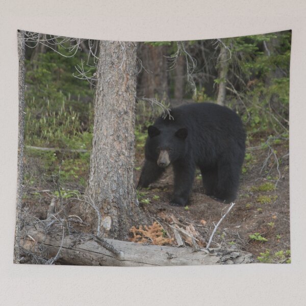 Item preview, Black Bear in British Columbia designed and sold by StevenElliot.
