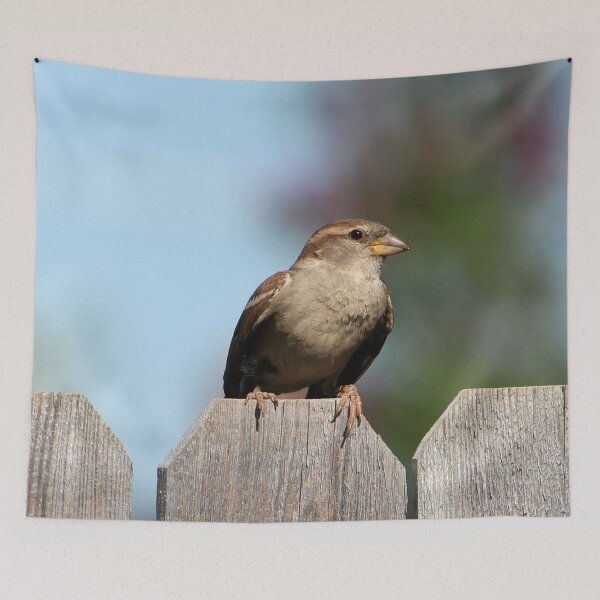 Item preview, Feathered Friend Perched on a Fence designed and sold by Susie Kramer.