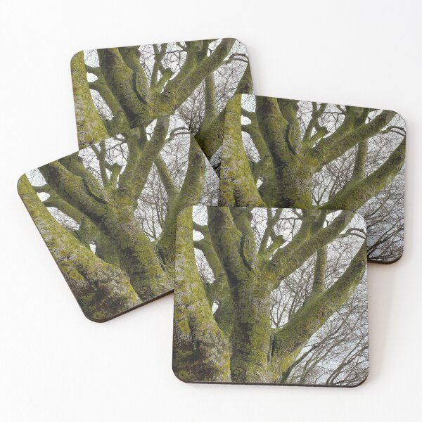 Item preview, Mossy Bare Tree Winter Cloudy Sky designed and sold by Anna Lemos.