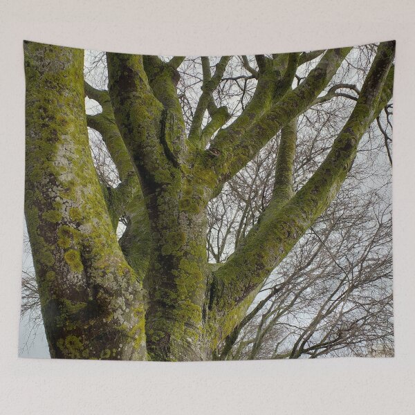 Item preview, Mossy Bare Tree Winter Cloudy Sky designed and sold by Anna Lemos.