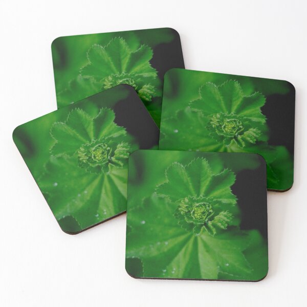 Item preview, Spiral Plant Growth designed and sold by StevenElliot.