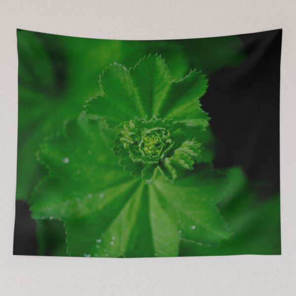Item preview, Spiral Plant Growth designed and sold by StevenElliot.
