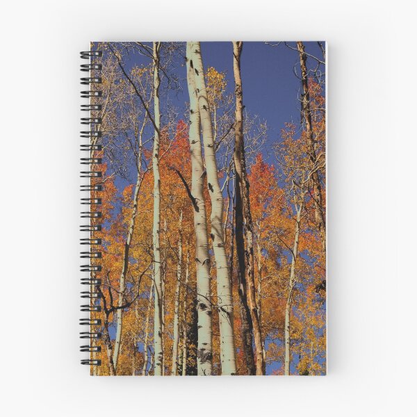 Item preview, Fire in the Sky designed and sold by CL Allred Photography.