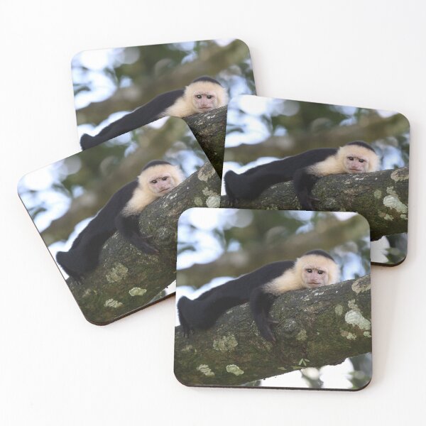 Item preview, Capuchin Monkey designed and sold by mlorenz.