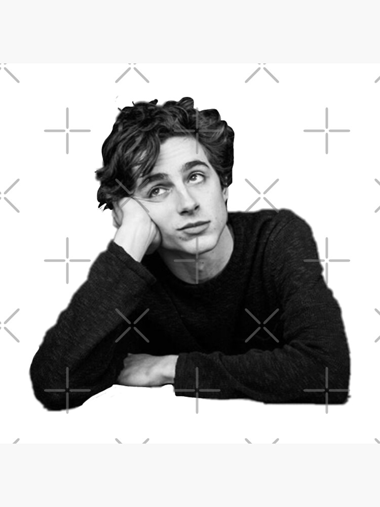 Timothée Chalamet Art Print For Sale By Ummwhytho Redbubble 5161