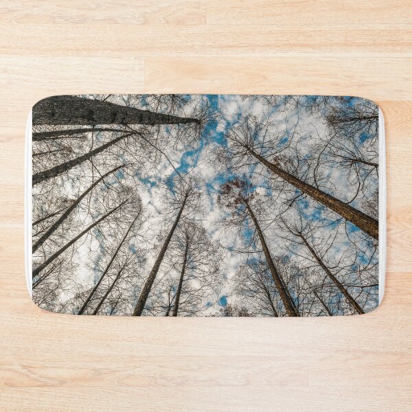 Item preview, Low Angle Big Trees, West Lake, Hangzhou, China designed and sold by DFLC Prints.