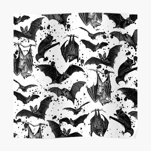 BATS Poster