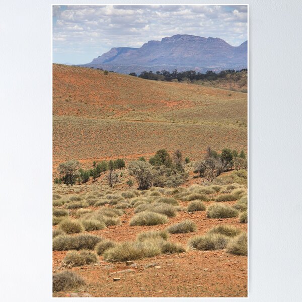 Item preview, Wilpena Pound, Flinders Ranges in the Spring designed and sold by Carole-Anne.